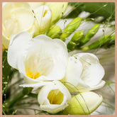 English Pear & Freesia Fragrance Oil - Craftovator